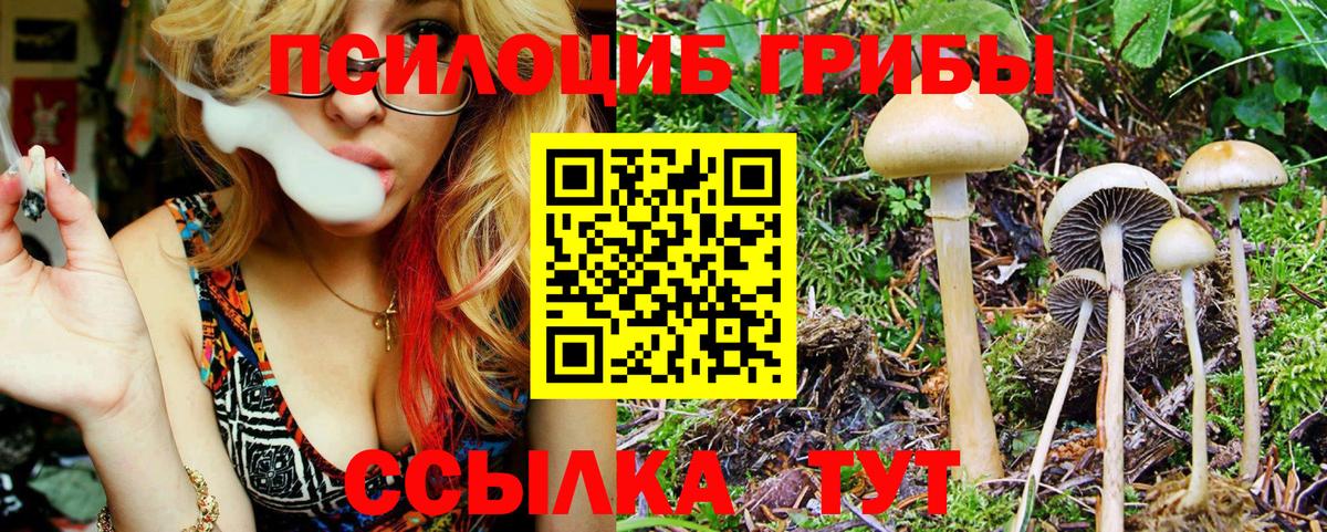 Галлюциногенные грибы GOLDEN TEACHER Лянтор
