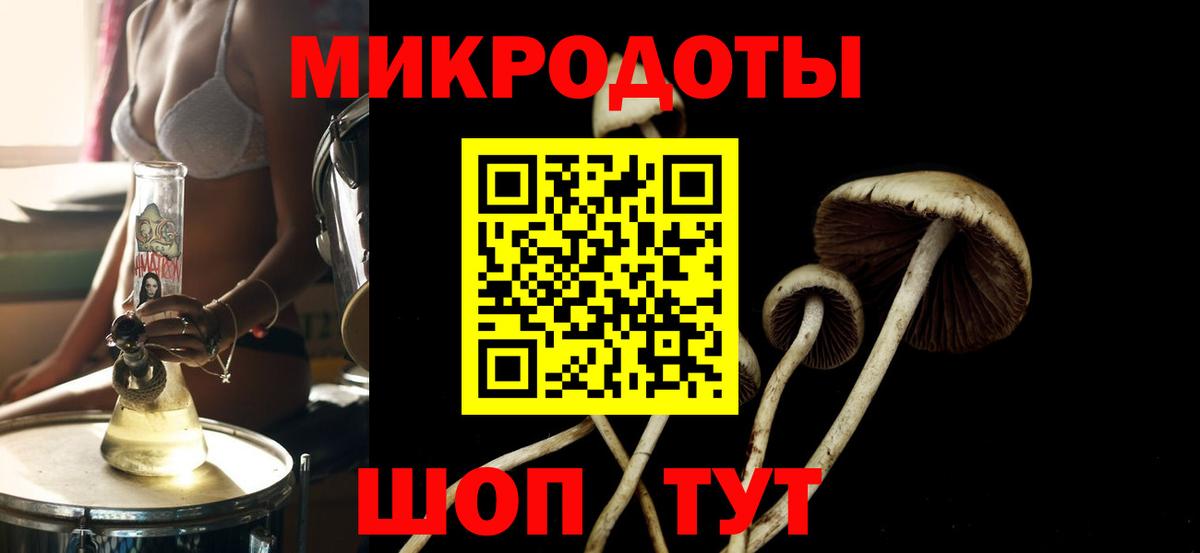 Галлюциногенные грибы GOLDEN TEACHER  магазин продажи наркотиков  Лянтор  Вход с VPN 